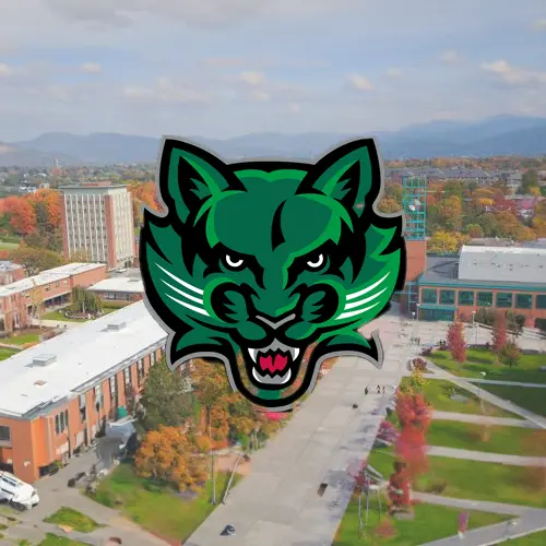 Selected Labs for CS350 courses in Binghamton University